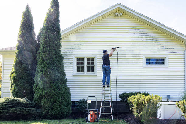 Best Gutter Cleaning  in Fannett, TX